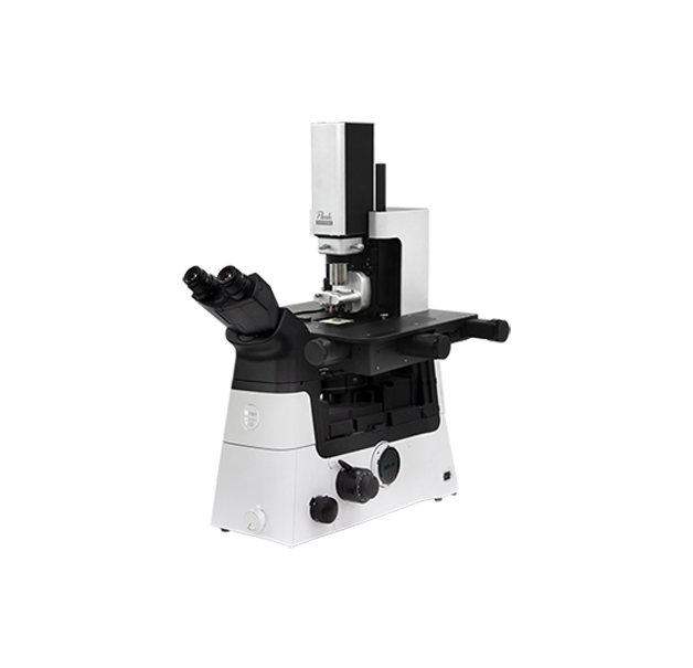 多功能原子力顯微鏡平臺(tái) Park NX12